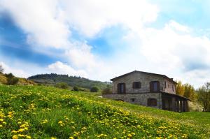una vieja casa de piedra en una colina con flores amarillas en Fattoria Bio L'A Ceccoli en Sasso Feltrio