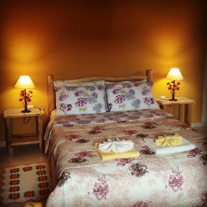 a bedroom with a bed with two nightstands and two lamps at Pousada Canário Da Terra in Visconde De Maua +38 photos