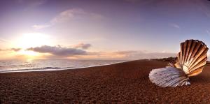 a shell sitting on a beach with the ocean at The White Lion Hotel in Aldeburgh