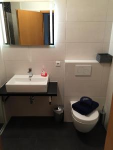 uma casa de banho com um lavatório, um WC e um espelho. em Apartment Goethe em Weil am Rhein