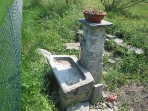 Vrt pred nastanitvijo Casa in Königs GarteN