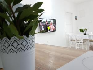 TV/Unterhaltungsangebot in der Unterkunft Apartmani Luka & Iva
