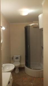 een badkamer met een douche, een toilet en een wastafel bij Kwatera na Bagnach in Osowiec