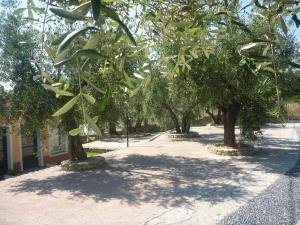 Fotografia z galérie ubytovania Villaggio RTA Borgoverde v destinácii Imperia