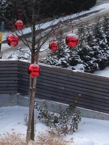 ヴァルダーオラにあるSchuster Emmaの雪の中に赤い飾りをつけた木