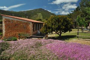 CampaneddaにあるB&B Predda Biancaの紫花畑