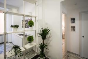 a room with white shelves with potted plants on them at Vinci House in Rome +51 photos