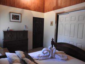 Katil atau katil-katil dalam bilik di Rio Celeste Backpackers