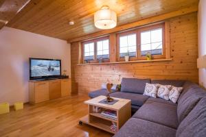 ein Wohnzimmer mit einem Sofa und einem TV in der Unterkunft Ferienwohnung Spindlegger in Schlitters