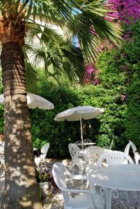 Zahrada ubytování Hotel de charme Regency