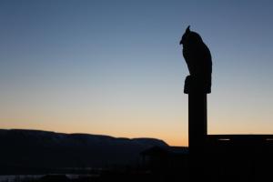 Galería fotográfica de Akureyri Log Cabin en Akureyri 42 fotos más