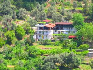 法拉尔雅古尔旅馆的森林中间的白色大建筑