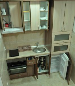 Vrnjačka BanjaにあるAlex apartmanのシンクとコンロのある小さなキッチン