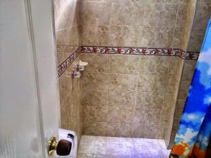 a bathroom with a shower with a toilet in it at Hotel Andino Real in Bogotá +279 photos