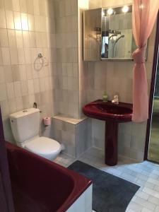 パリにあるAtypique apartment - Saint-Germain des Présのバスルーム(トイレ、洗面台付)
