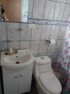 a bathroom with a white toilet and a sink at Las Murtas de Chiloe-Cabañas in Chacao