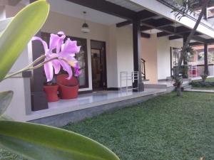 Zahrada ubytování Indraprastha 2 Bungalow