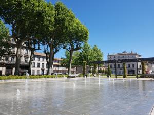 une fontaine dans une place avec des arbres et des bâtiments dans l'établissement Penthouse Apartment overlooking Place Carnot, à Carcassonne