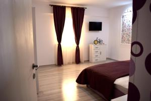 Μια τηλεόραση ή/και κέντρο ψυχαγωγίας στο Apartament Liliac