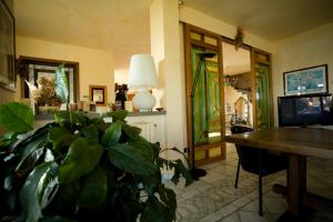 un salon avec une table et une plante dans l'établissement Piccolo Paradiso, à Formia