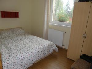 a small bedroom with a bed and a window at Anker Villa in Balatonszárszó