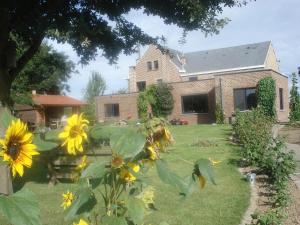 Zahrada ubytování B&B Mussenzele