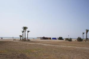 an empty beach with palm trees and the ocean at Apartamentos Torrelaguna in Vera