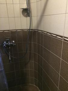 Koupelna v ubytování Guesthouse Gia
