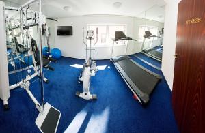 Fitness centrum a/nebo fitness zařízení v ubytování Hotel & Apartments U Černého orla
