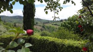 Príroda v okolí of the bed and breakfast