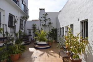 Gallery image of Triplex T3 SOUTH APARTMENT in Tarifa