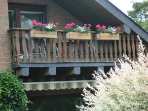 drewniany balkon z kwiatami w obiekcie Ferienwohnung am Sophienberg w mieście Wensin