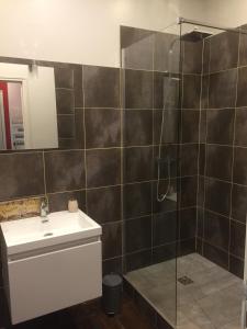 een badkamer met een douche en een wastafel bij le bal d'arsène in Aurillac