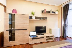 Televízia a/alebo spoločenská miestnosť v ubytovaní Apartamento Artekale