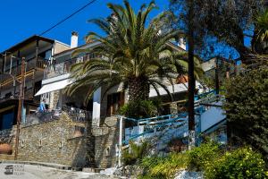 a palm tree in front of a building at Stone Villa Pelion in Afissos
