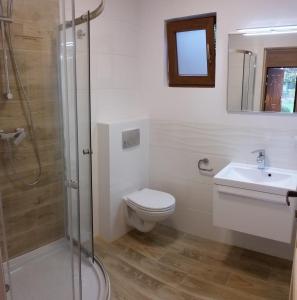 a bathroom with a shower and a toilet and a sink at Alkado Domki Jurata in Jurata +8 photos