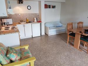 Kuchyň nebo kuchyňský kout v ubytování Budget Guesthouse Borgustova