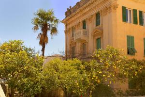 a building with a palm tree and a building with trees at Hotel della piazzetta in Varazze