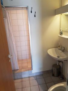Ванная комната в Budget Guesthouse Borgustova