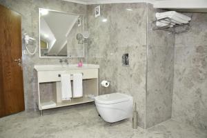 y baño con aseo, lavabo y ducha. en The Elegant Hotel, en Estambul