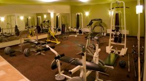 Posilňovňa alebo fitness centrum v ubytovaní Pollushof Panzió és Étterem