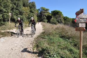 Due persone che vanno in bicicletta lungo una strada sterrata di Agriturismo Ca' Poldo ad Ancona