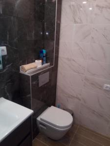 a bathroom with a toilet and a shower and a sink at Apartment Nenov in Skopje