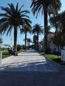 a street with palm trees and a person sitting on a bench at Casa Domenica - 200m dal mare in Ceriale