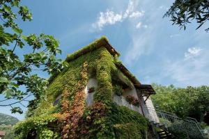 Rocca MassimaにあるCasale Bambù - Hidden Countryhouseの蔦の上に覆われた建物
