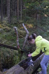 Hosté ubytování Wildwiesenhof