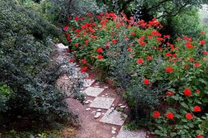 Jardín al aire libre en Efta Anemi - Benovias