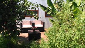 Vonkajšia záhrada v ubytovaní Villa Canaria piscina jacuzzi jardín