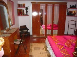 un soggiorno con letto e specchio di Casa de Vacanta Pravdencu a Mahmudia