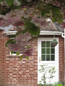 Galería fotográfica de Shear Annexe Flat en Cambridge